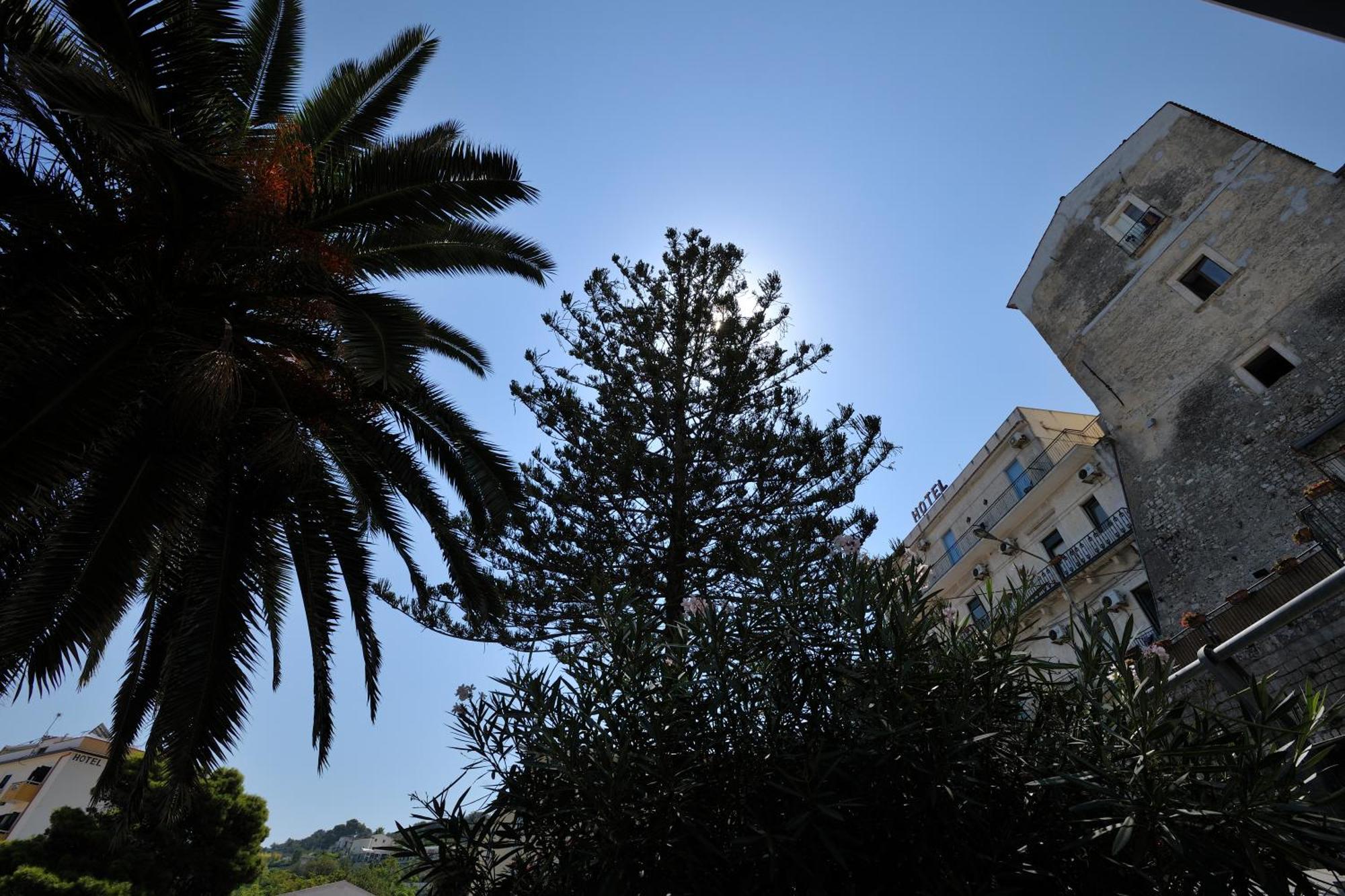 Hotel Miramare 3*